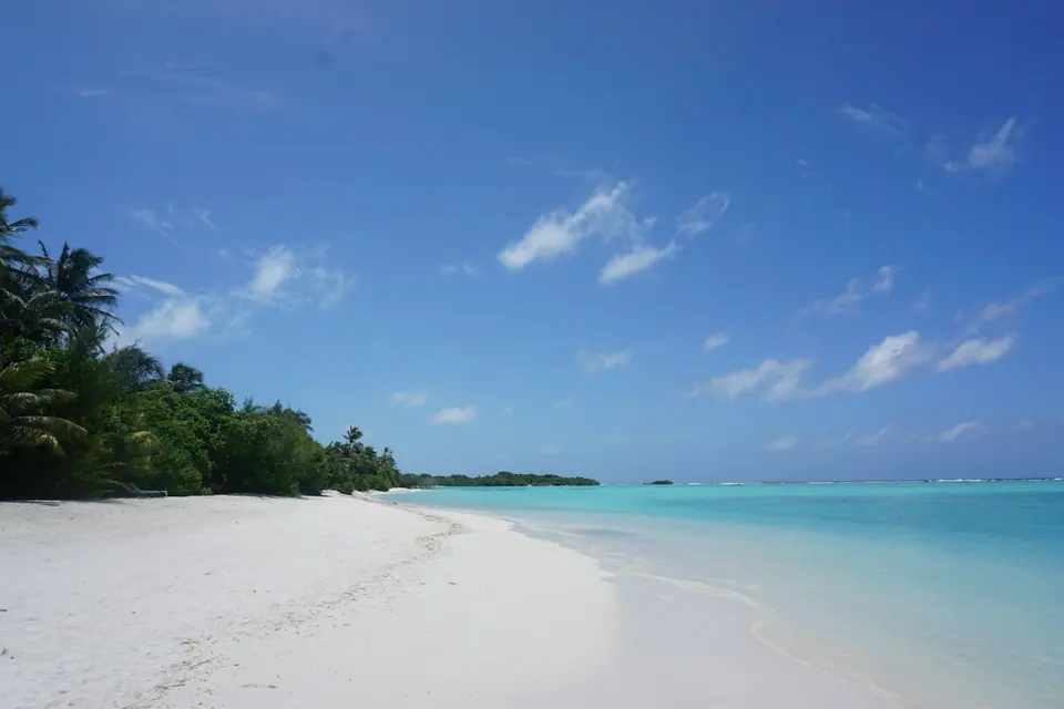 White sand beach, palm trees and clear turquoise sea in Mauritius