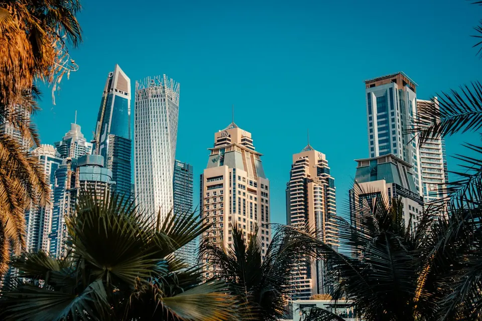Dubai Marina skyscrapers framed by palm trees under a blue sky